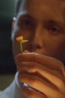 The Man Who Loved Flowers Trailer