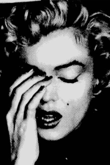 The Marilyn Files Trailer