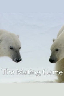 The Mating Game Trailer