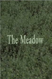 The Meadow Trailer