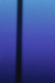 THE MEDICATION (ON BLUE) Trailer