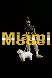 The Miami Model Trailer