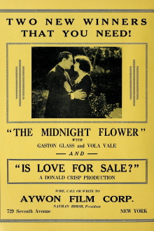 The Midnight Flower Trailer