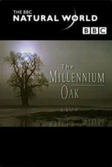 The Millennium Oak Trailer