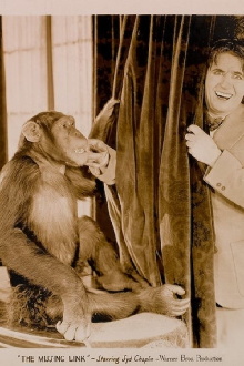The Missing Link Trailer
