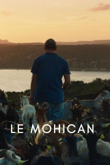 The Mohican Trailer
