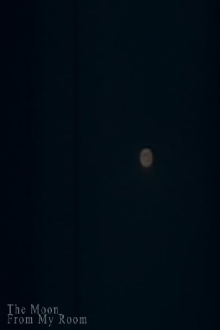 The Moon from My Room Trailer