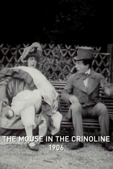 The Mouse in the Crinoline Trailer