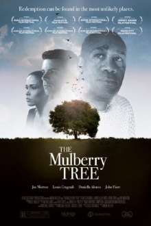 The Mulberry Tree Trailer