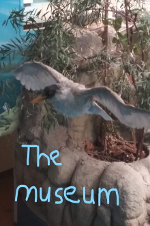 The Museum Trailer