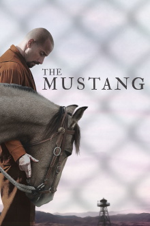 The Mustang Trailer