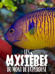 The mysteries of Mont La Pérouse Trailer