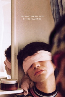 The Mysterious Gaze of the Flamingo Trailer