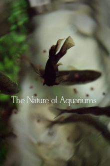 The Nature of Aquariums Trailer