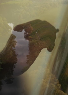 The Nature of Creativity Trailer