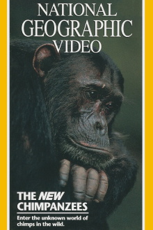 The New Chimpanzees Trailer