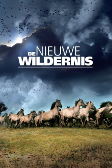 The New Wilderness Trailer