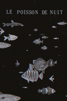The Night Fish Trailer