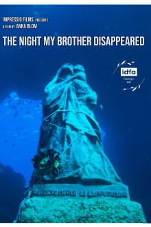 The Night My Brother Disappeared Trailer