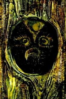 The Night Wood Trailer