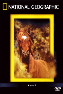 The Noble Horse Trailer