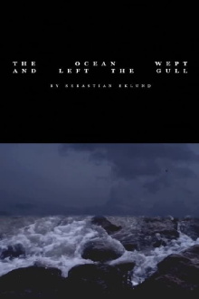 The Ocean Wept and Left the Gull Trailer