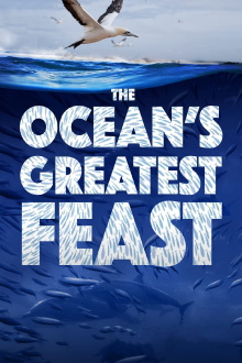 The Ocean’s Greatest Feast Trailer