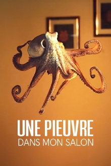 The Octopus in My House Trailer