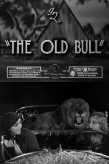 The Old Bull Trailer