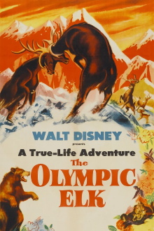 The Olympic Elk Trailer