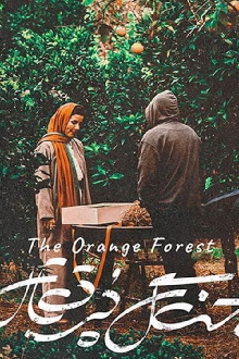The Orange Forest Trailer