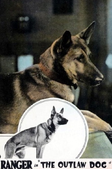 The Outlaw Dog Trailer