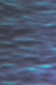 The Pacific Ocean Trailer
