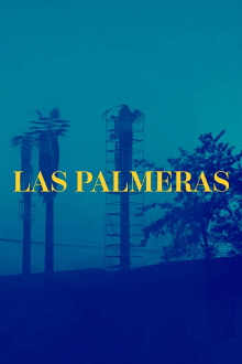 The Palm Trees (Documentary Niños del Cerro) Trailer