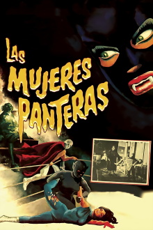 The Panther Women Trailer
