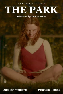 The Park Trailer