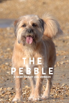 The Pebble Trailer