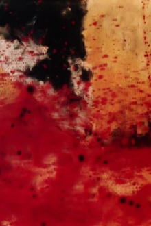 The Pecking Order Trailer