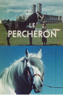 The Percheron Trailer