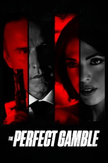 The Perfect Gamble Trailer