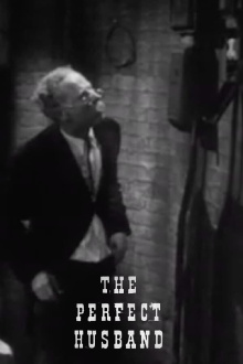 The Perfect Husband Trailer