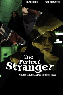 The Perfect Stranger Trailer