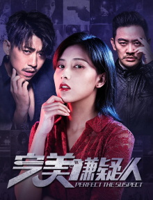 The Perfect Suspect Trailer