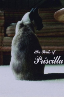 The Perils of Priscilla Trailer