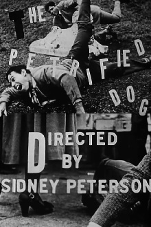 The Petrified Dog Trailer