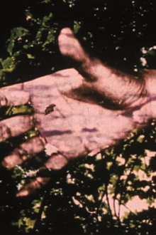 The Place You Left Trailer