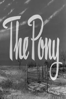 The Pony Trailer