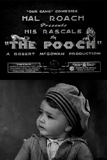 The Pooch Trailer