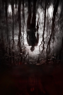 The Pool Trailer