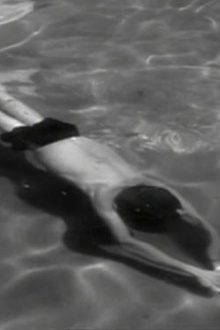 The Pool Trailer